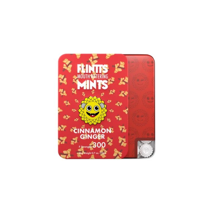 Flintts Mints Mouthwatering Mints Cinnamon Ginger Flavor